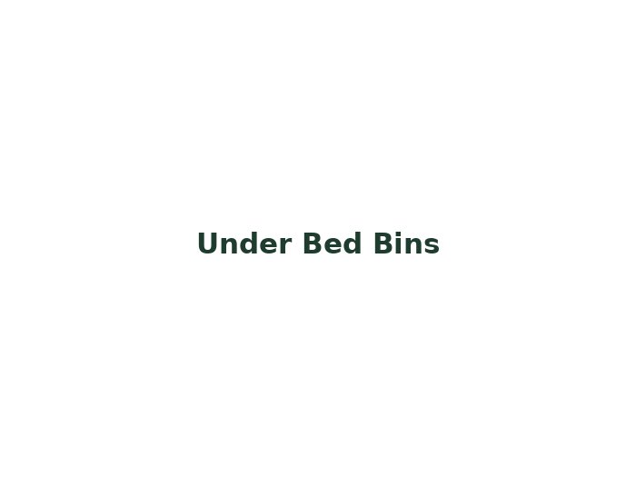 Clear Under-Bed Storage Bins (Set of 4)